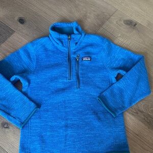 Patagonia Vibrant Blue Quarter-Zip Fleece